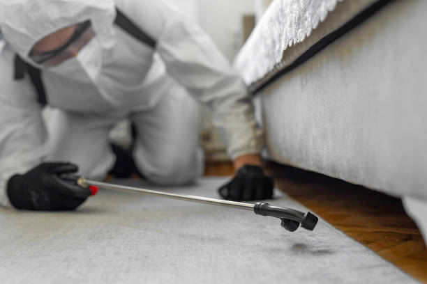 Professional Termite Control technician working in Clayton, NC