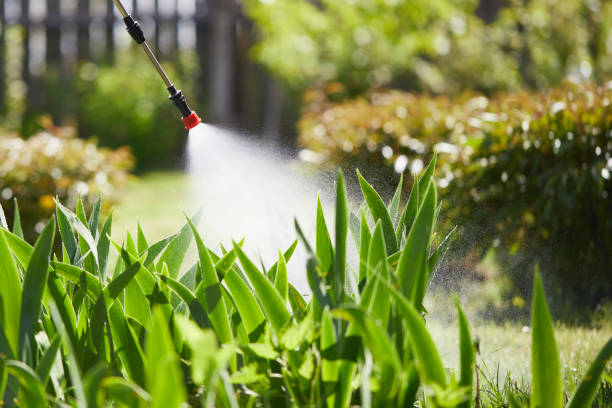 24/7 Emergency Termite Control experts in Clayton, NC