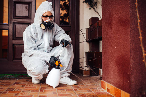 Reliable Termite Control contractor in Clayton, NC by Nex Pest Control
