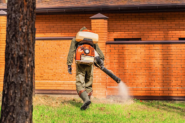 Top rated local Termite Control specialists in Clayton, NC